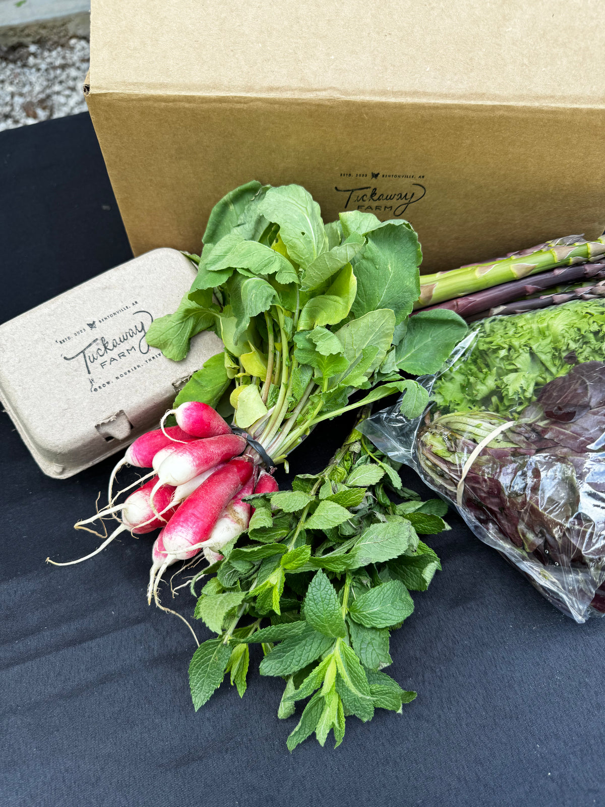 Tuckaway Farm Salad Club - Weekly Cover