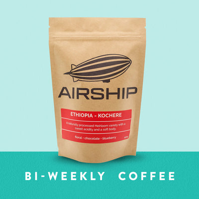 Ethiopia Kochere - Bi-Weekly Preview #1